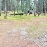 Review photo of Beech Hill Campground and Cabins by Jean C., August 19, 2019