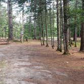 Review photo of Beech Hill Campground and Cabins by Jean C., August 19, 2019