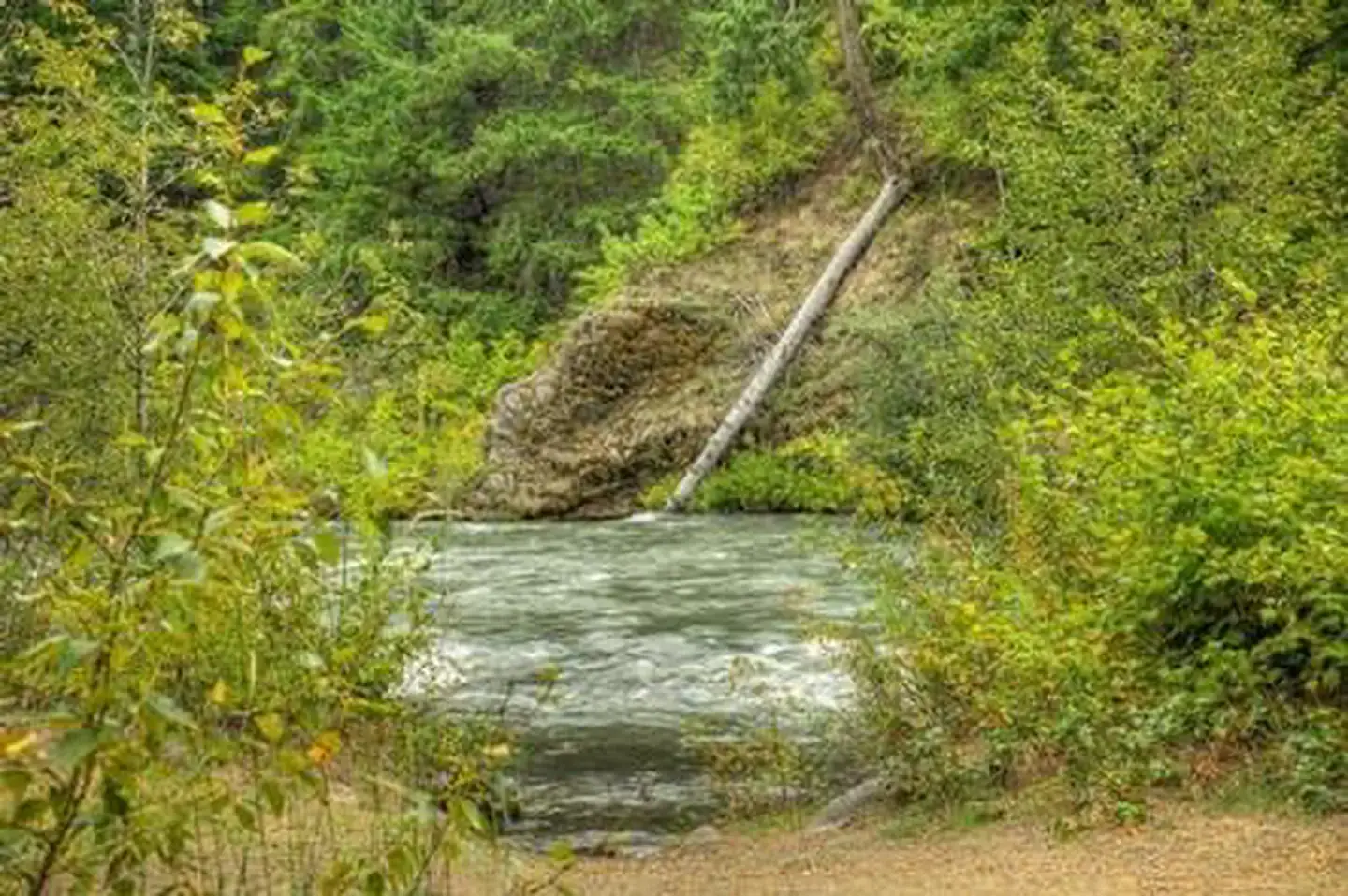 Camper-submitted photo at Willows Campground near White Swan, WA