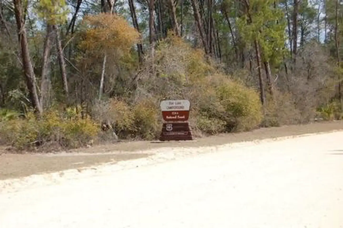 Camper-submitted photo at Doe Lake Group Site near Goldenrod, FL