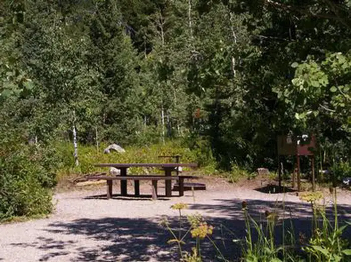 Camper-submitted photo at USFS Teton Canyon Campground near Teton Village, WY