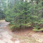 Review photo of Beech Hill Campground and Cabins by Jean C., August 19, 2019