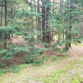 Review photo of Beech Hill Campground and Cabins by Jean C., August 19, 2019