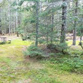 Review photo of Beech Hill Campground and Cabins by Jean C., August 19, 2019