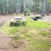 Review photo of Beech Hill Campground and Cabins by Jean C., August 19, 2019