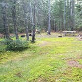 Review photo of Beech Hill Campground and Cabins by Jean C., August 19, 2019