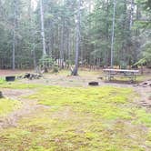 Review photo of Beech Hill Campground and Cabins by Jean C., August 19, 2019