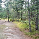 Review photo of Beech Hill Campground and Cabins by Jean C., August 19, 2019