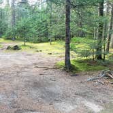 Review photo of Beech Hill Campground and Cabins by Jean C., August 19, 2019