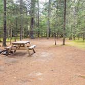 Review photo of Beech Hill Campground and Cabins by Jean C., August 19, 2019