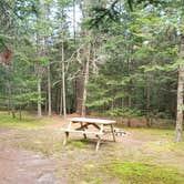 Review photo of Beech Hill Campground and Cabins by Jean C., August 19, 2019