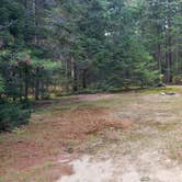 Review photo of Beech Hill Campground and Cabins by Jean C., August 19, 2019