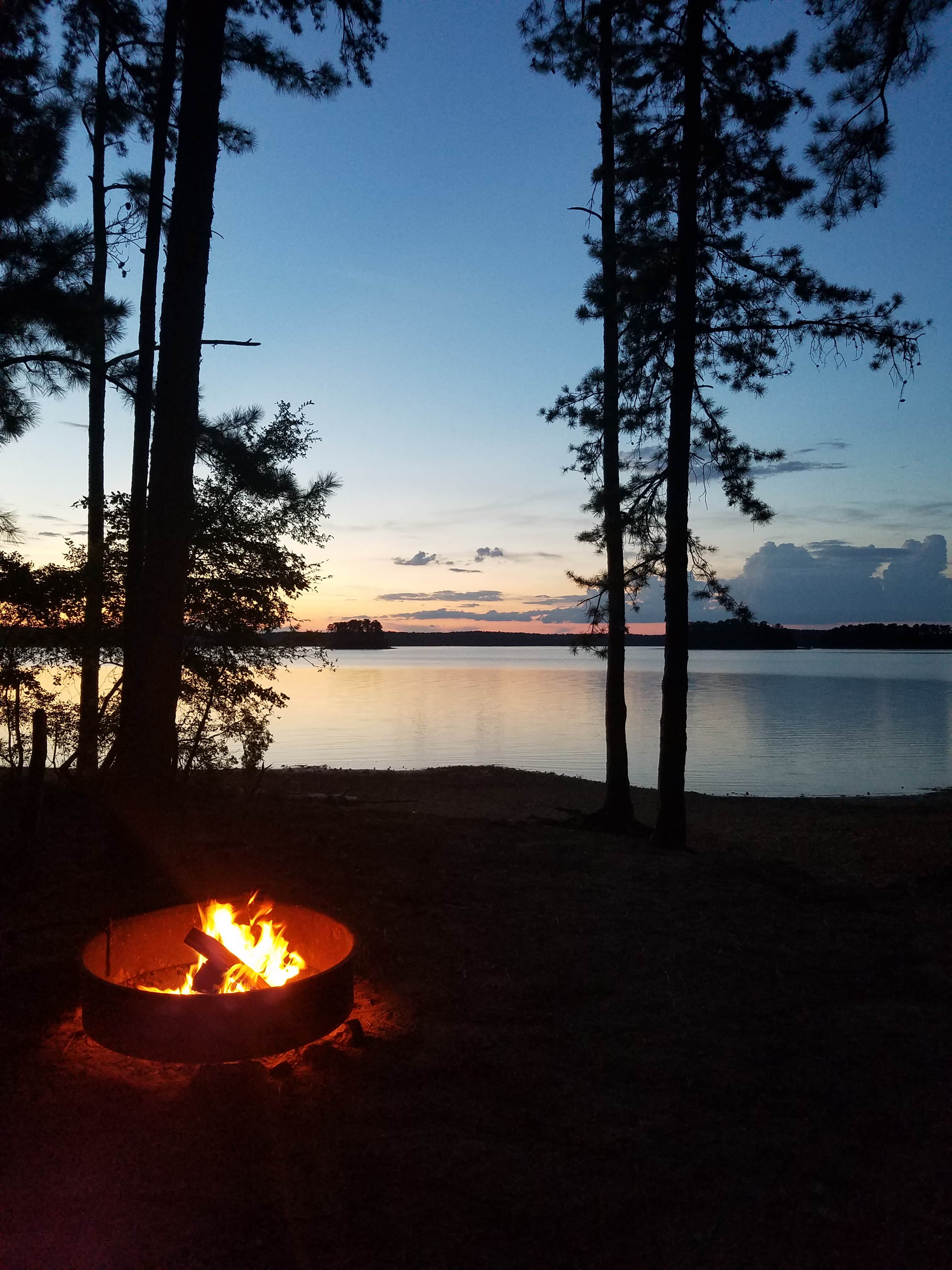 Camper submitted image from Hamilton Branch State Park Campground - 5