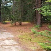 Review photo of Beech Hill Campground and Cabins by Jean C., August 19, 2019