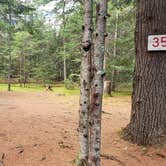 Review photo of Beech Hill Campground and Cabins by Jean C., August 19, 2019