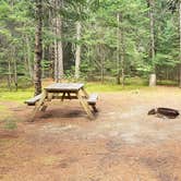 Review photo of Beech Hill Campground and Cabins by Jean C., August 19, 2019