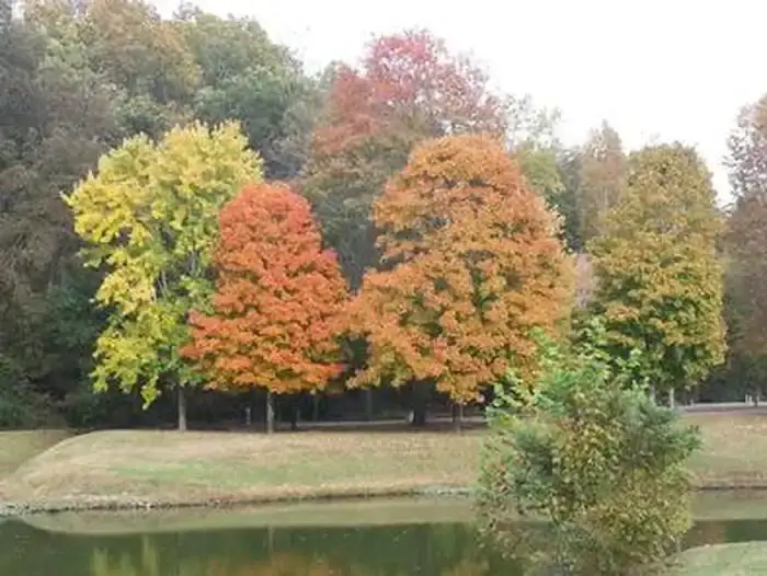 Camper-submitted photo at Lock A near Burns, TN