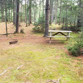 Review photo of Beech Hill Campground and Cabins by Jean C., August 19, 2019