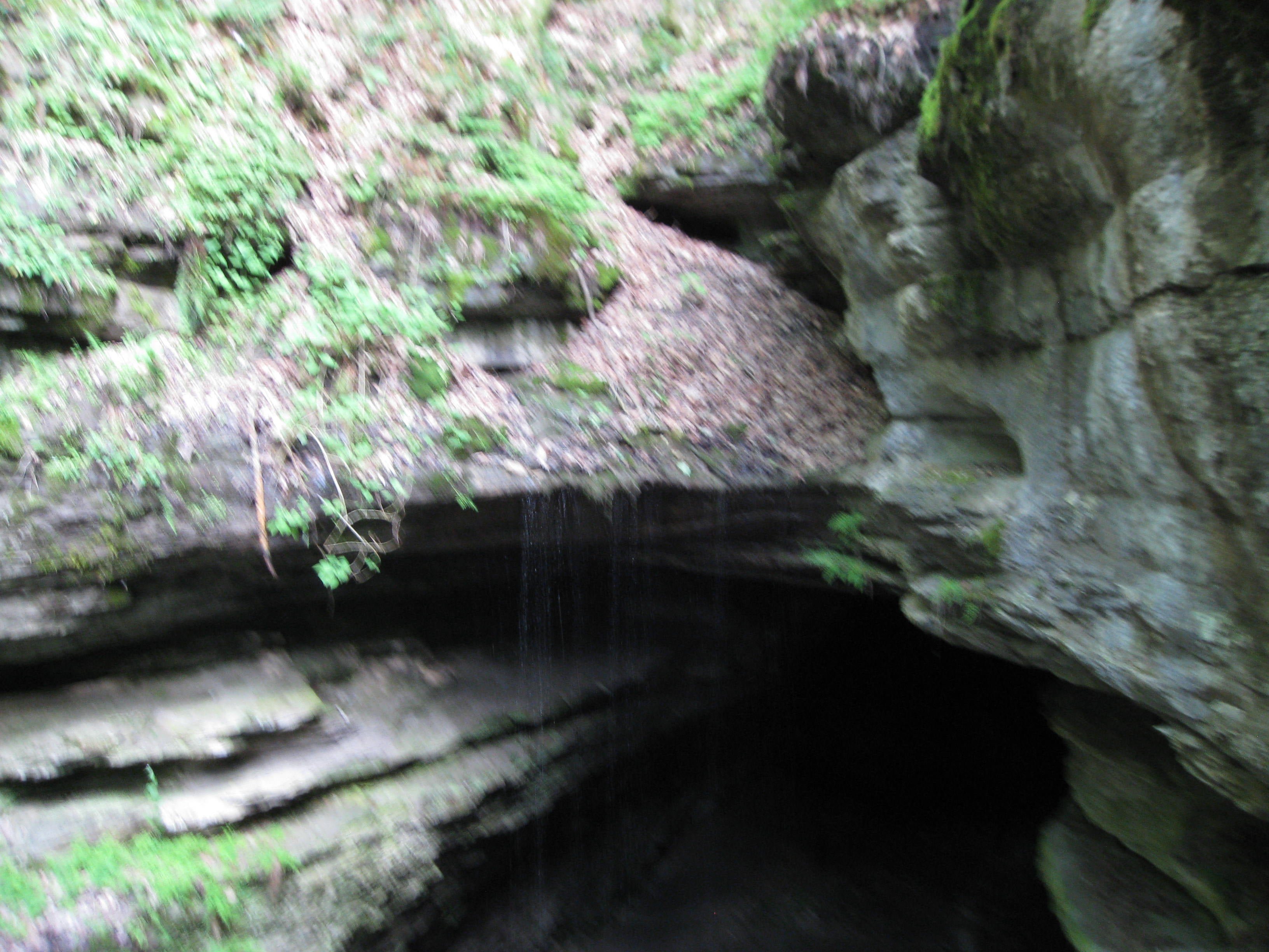 Camper submitted image from Mammoth Cave Campground — Mammoth Cave National Park - 2