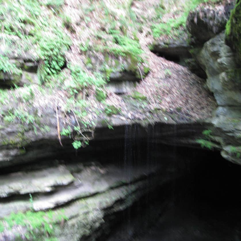Mammoth Cave Campground Camping The Dyrt