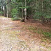 Review photo of Beech Hill Campground and Cabins by Jean C., August 19, 2019