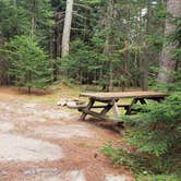 Review photo of Beech Hill Campground and Cabins by Jean C., August 19, 2019