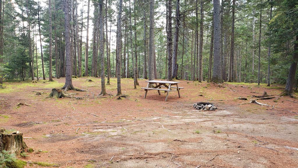 Jean C.'s photo of camping with pets at Beech Hill Campground and Cabins near Whitefield, NH