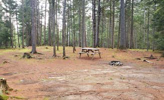 Jean C.'s photo of camping with pets at Beech Hill Campground and Cabins near St. Johnsbury, VT