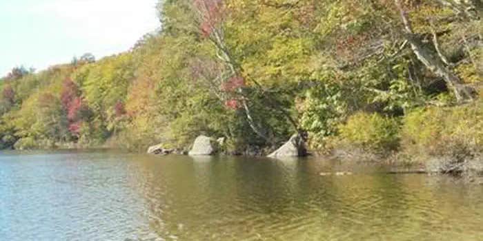 Camper submitted image from Russell Pond Campground