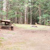 Review photo of Beech Hill Campground and Cabins by Jean C., August 19, 2019