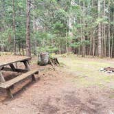 Review photo of Beech Hill Campground and Cabins by Jean C., August 19, 2019