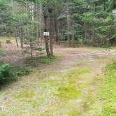 Review photo of Beech Hill Campground and Cabins by Jean C., August 19, 2019