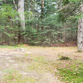 Review photo of Beech Hill Campground and Cabins by Jean C., August 19, 2019