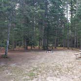 Review photo of Beech Hill Campground and Cabins by Jean C., August 19, 2019