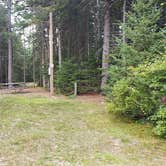 Review photo of Beech Hill Campground and Cabins by Jean C., August 19, 2019