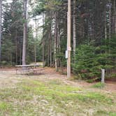 Review photo of Beech Hill Campground and Cabins by Jean C., August 19, 2019