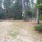 Review photo of Beech Hill Campground and Cabins by Jean C., August 19, 2019