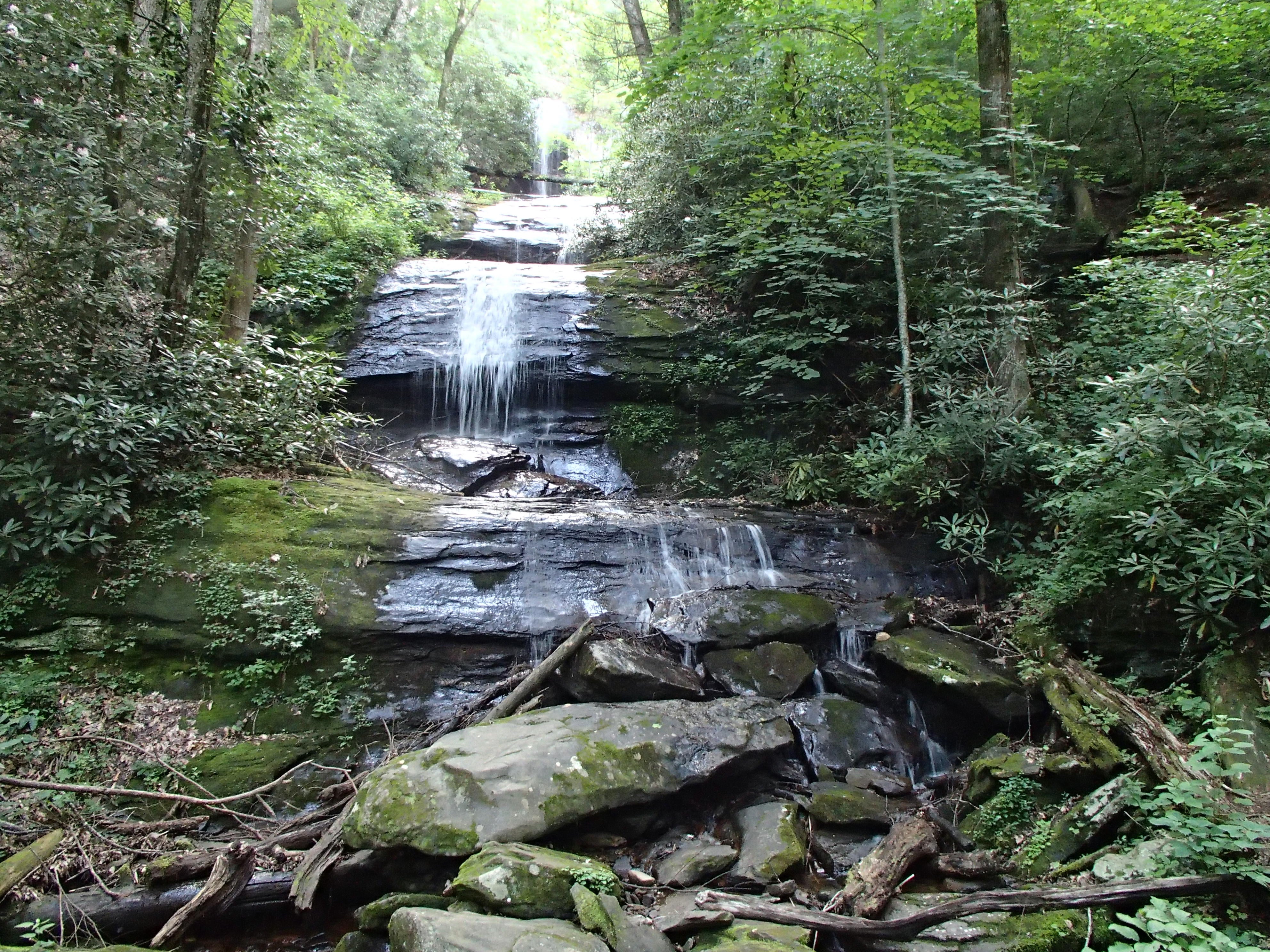 Camper submitted image from Desoto Falls Recreation Area - 3