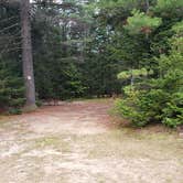 Review photo of Beech Hill Campground and Cabins by Jean C., August 19, 2019