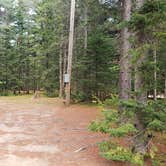 Review photo of Beech Hill Campground and Cabins by Jean C., August 19, 2019