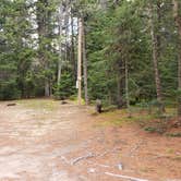 Review photo of Beech Hill Campground and Cabins by Jean C., August 19, 2019