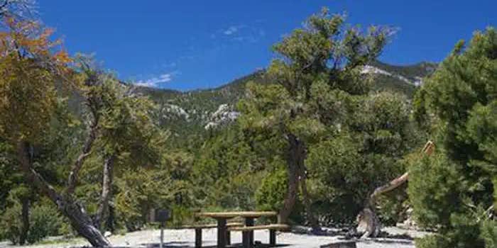 Camper submitted image from Hilltop