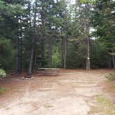 Review photo of Beech Hill Campground and Cabins by Jean C., August 19, 2019