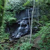 Review photo of Desoto Falls Recreation Area by Dave V., September 26, 2016