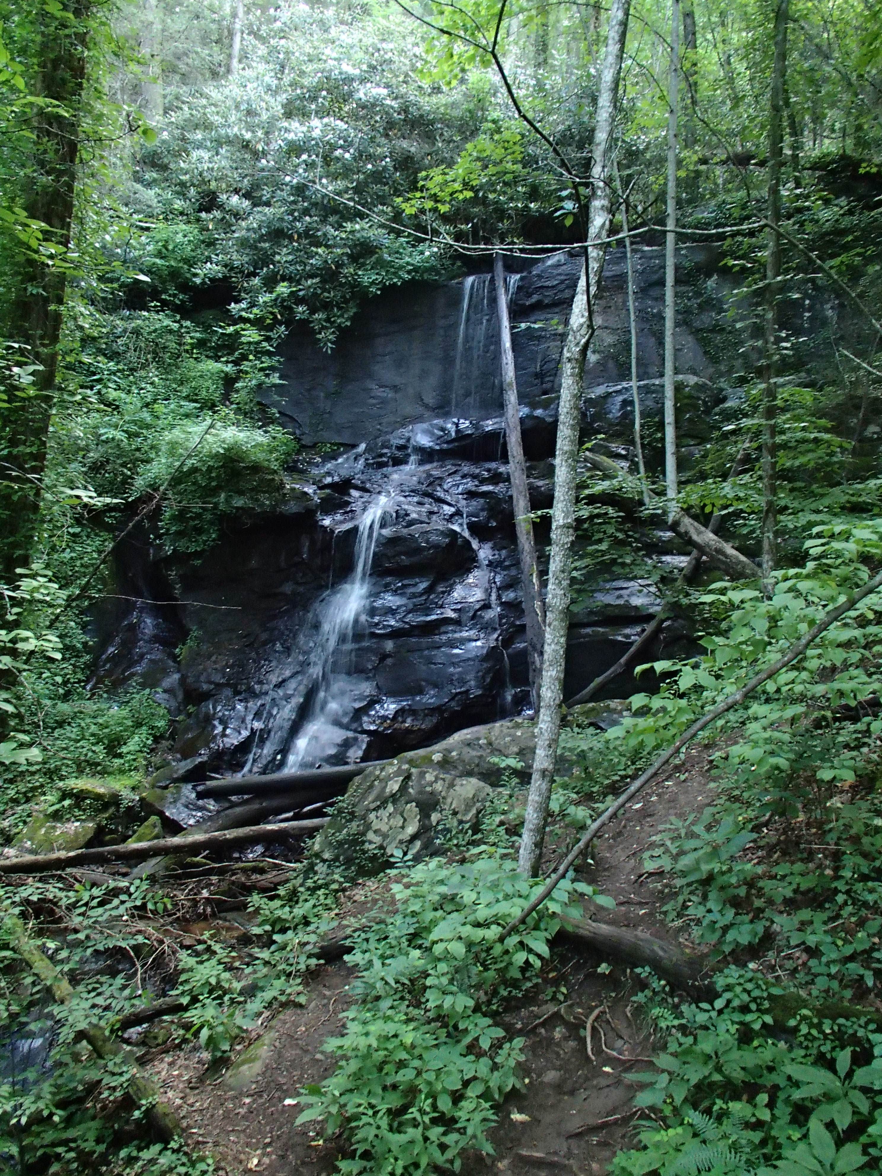 Camper submitted image from Desoto Falls Recreation Area - 2