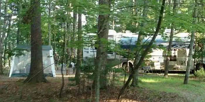 Camper submitted image from Seneca Shadows