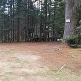 Review photo of Beech Hill Campground and Cabins by Jean C., August 19, 2019