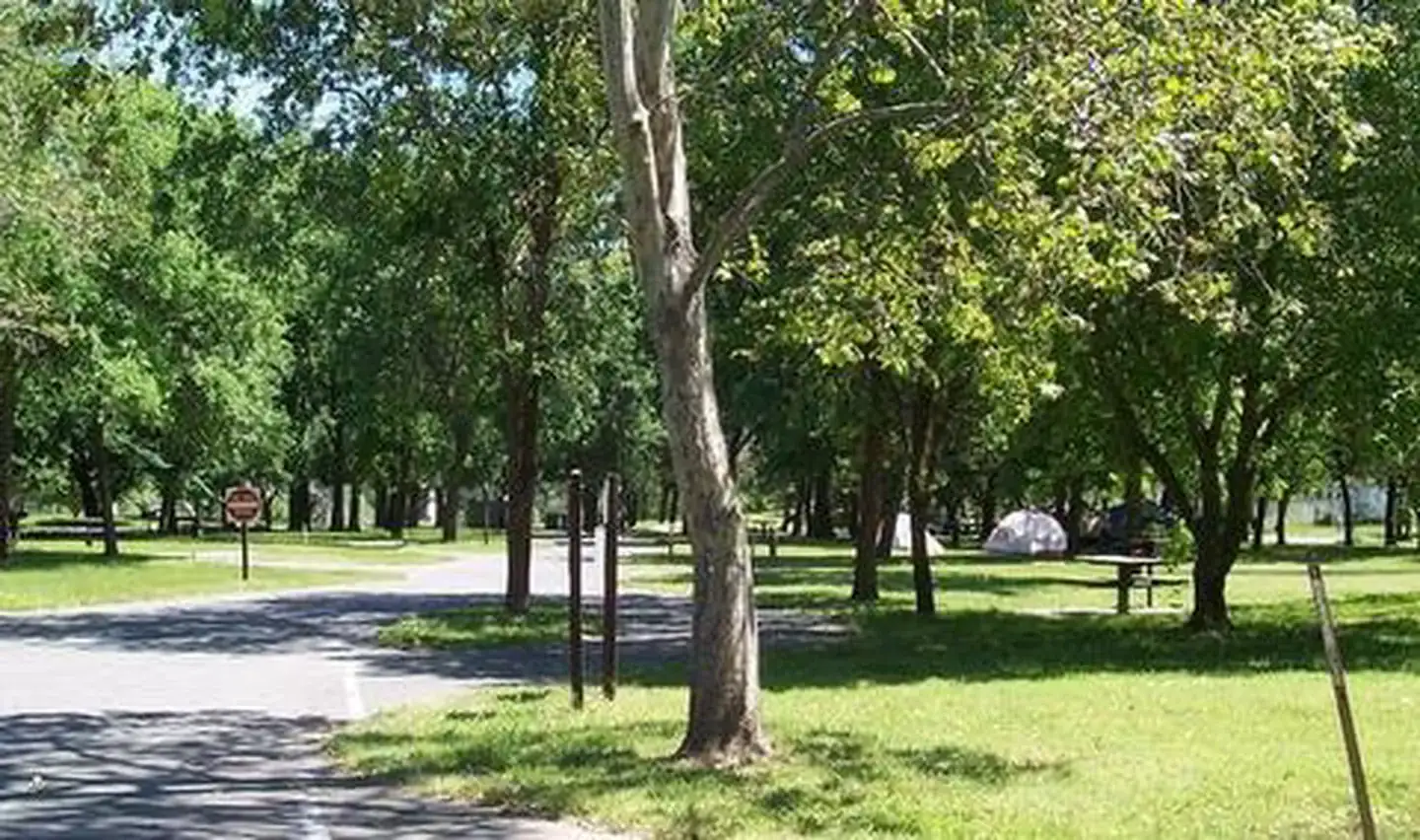Camper-submitted photo at Sycamore Grove (red Bluff) Campground near Red Bluff, CA