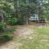 Review photo of Beech Hill Campground and Cabins by Jean C., August 19, 2019