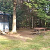 Review photo of Beech Hill Campground and Cabins by Jean C., August 19, 2019